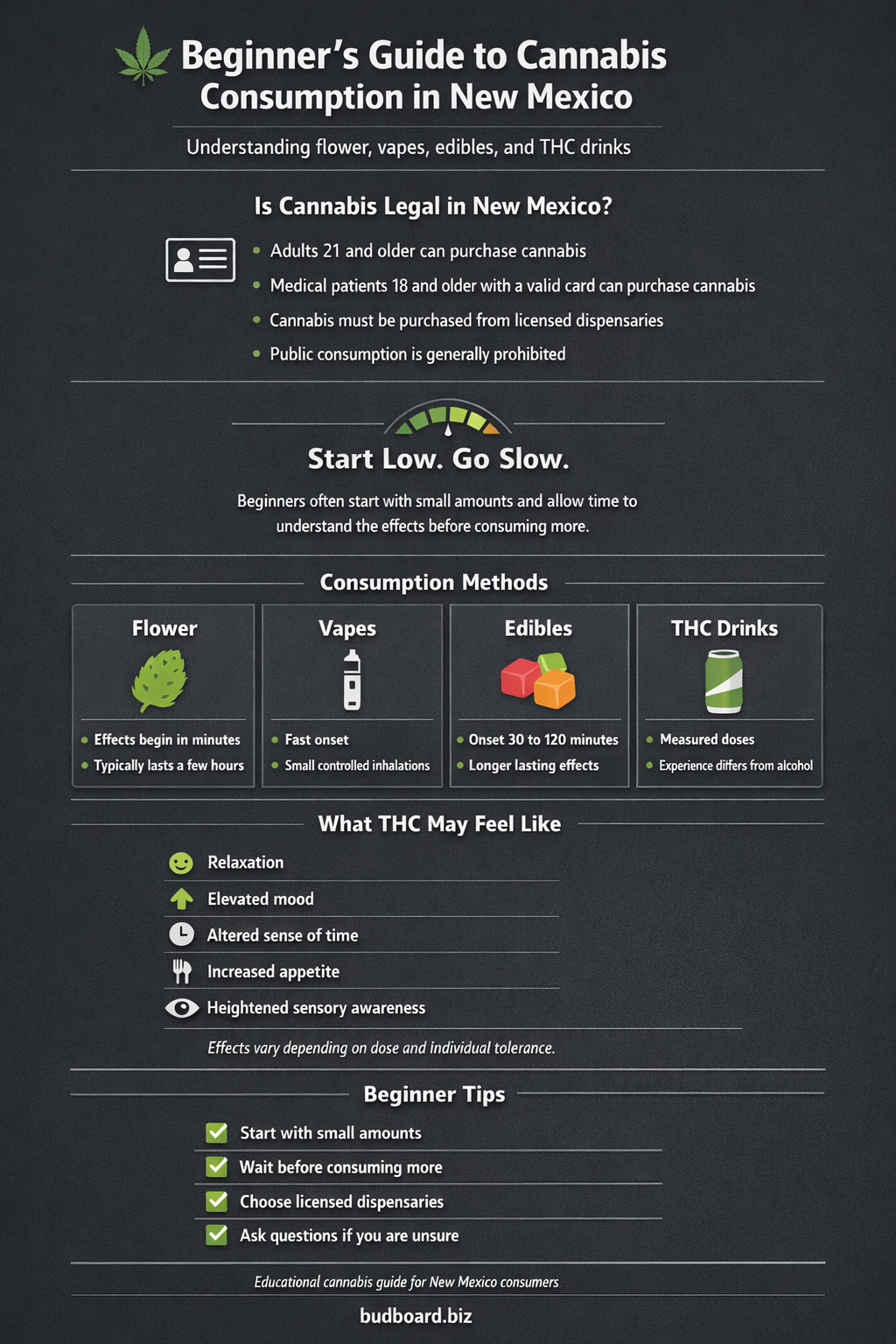 Beginner cannabis consumption infographic explaining flower, vapes, edibles, and THC drinks in New Mexico