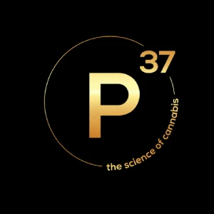 P37 logo