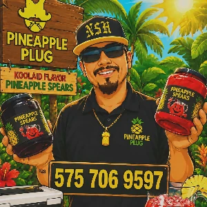 The Pineapple Plug logo