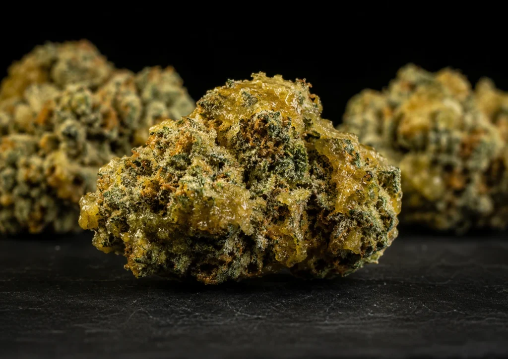 Macro close-up of cannabis flower coated with golden concentrate and crystalline trichomes