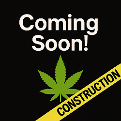 Bud Board Dispensary National Parks Carlsbad Coming Soon Coming Soon graphic for Bud Board Dispensary in the National Parks area of Carlsbad, NM.